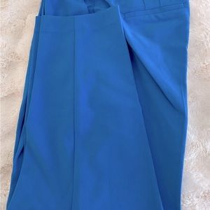 NWT - Express limited edition color/ankle trousers in color in High Sky